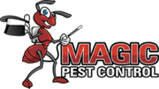 Exterminator,  termite and pest control Gilbert,  Phoenix,   Chandler,  AZ