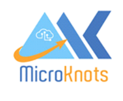 Microknots | IT Solutions and Consulting Services in USA